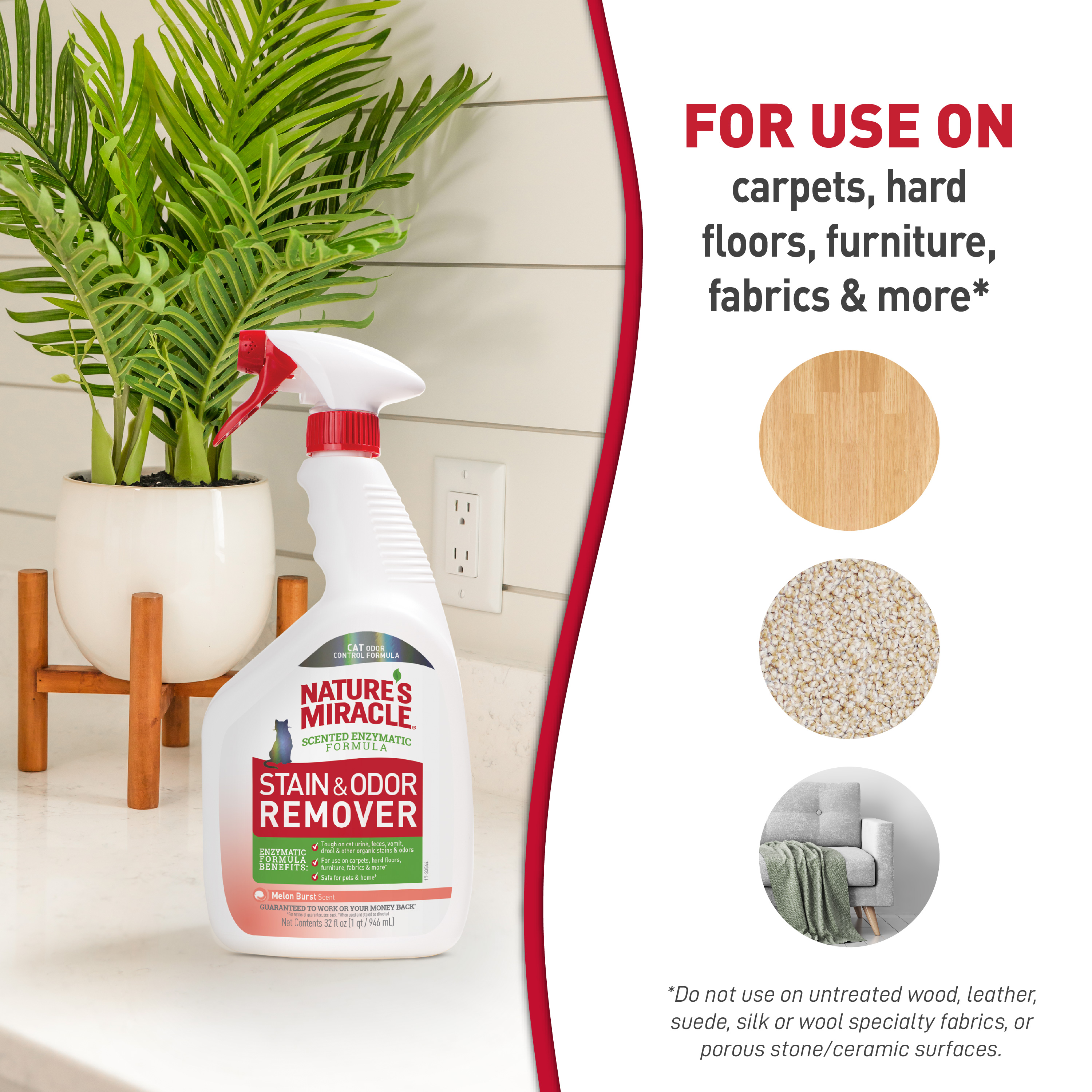 Out cat stain and odor remover online